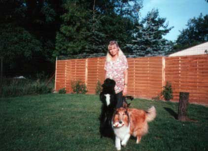 Bild: Colli Gino und Mischling Jack