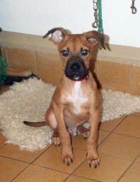 Bild: Findelkind Berry .