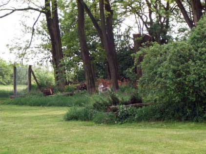 Bild: Auslauf- und Spielwiese